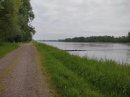Le Rhin au nord du bois de Mothern